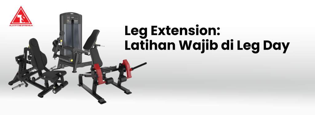 Leg Extension