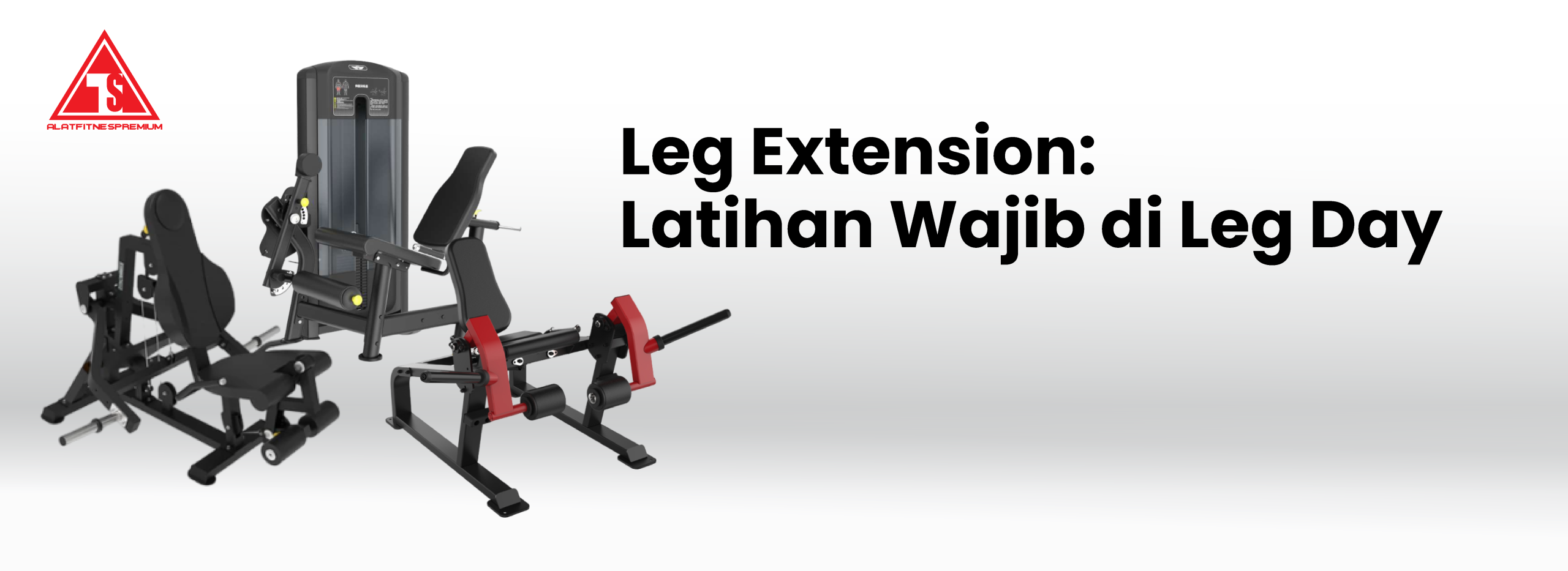 Leg Extension